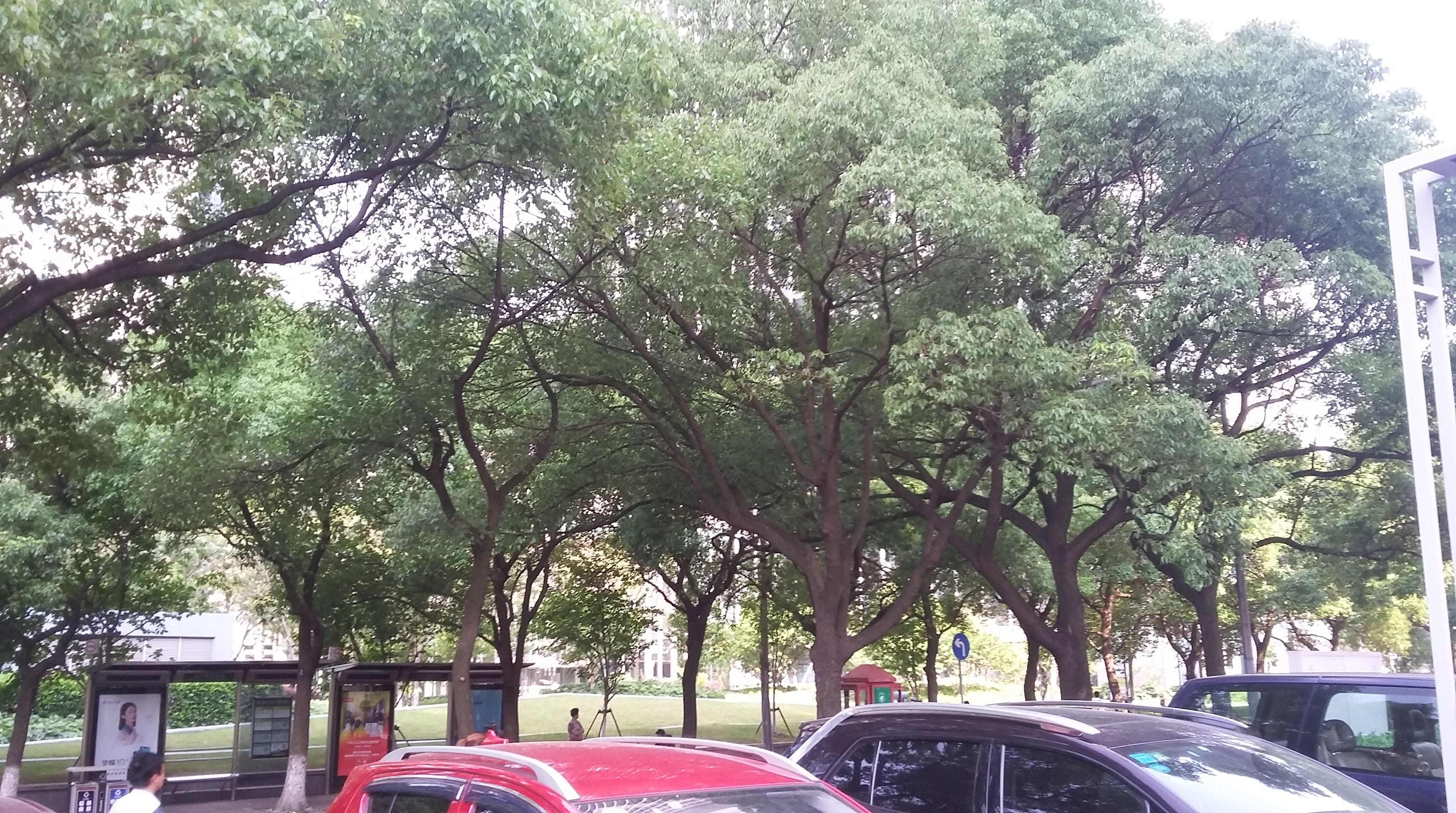 Le trafic au coin de la rue