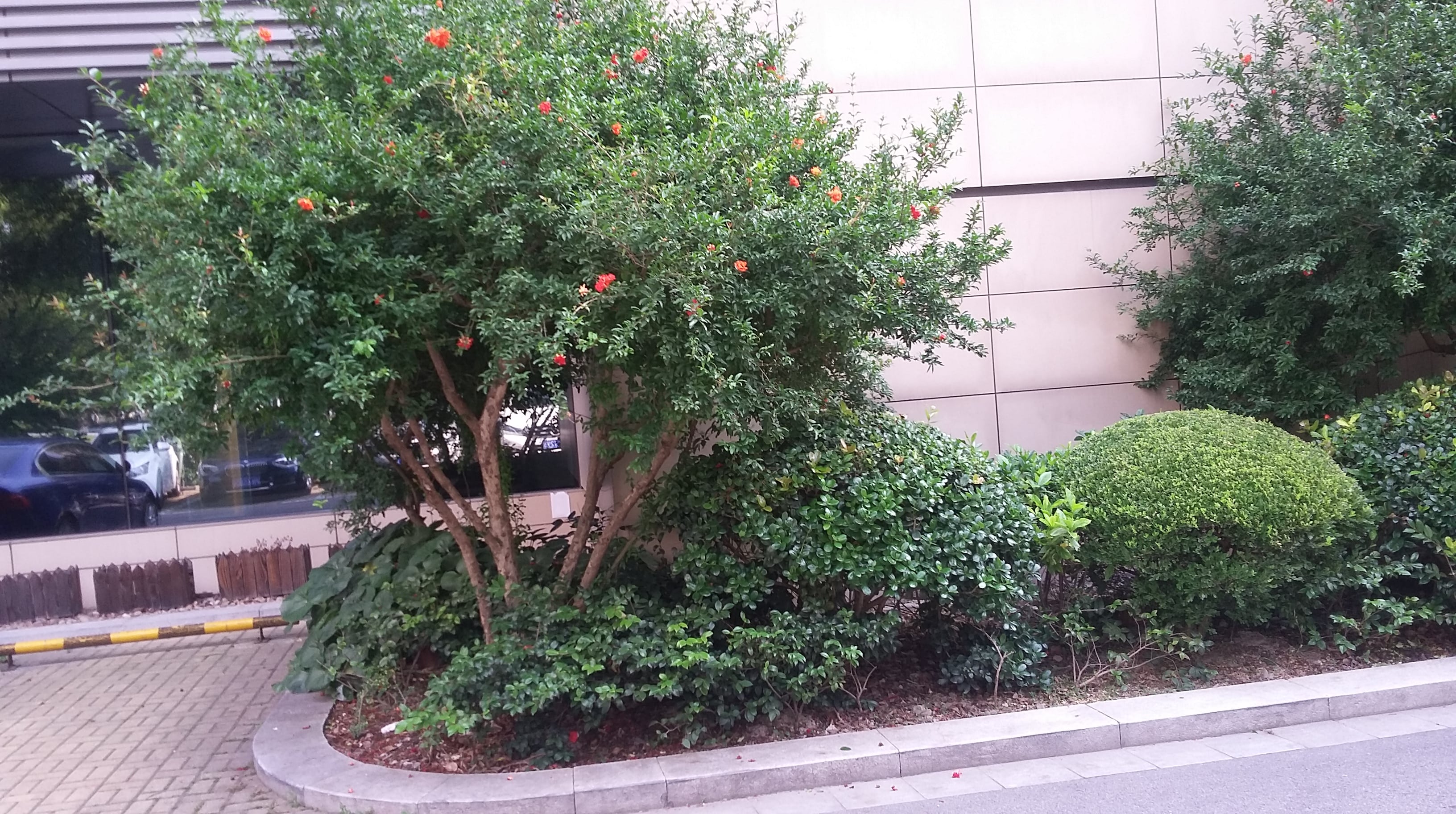 Le trafic au coin de la rue